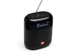 JBL Tuner XL Portable DAB/FM Radio with IPX7 Radio & musikspelare