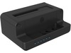 Icy Box IB-2914MSCL-C31 Type-C Dock Dockningsstationer