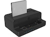 Icy Box IB-2914MSCL-C31 Type-C Dock Dockningsstationer