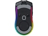 Razer Cobra Pro Gamingmus Gamingmus