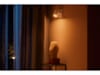 Philips Hue Argenta med 1 spotlight Taklampa