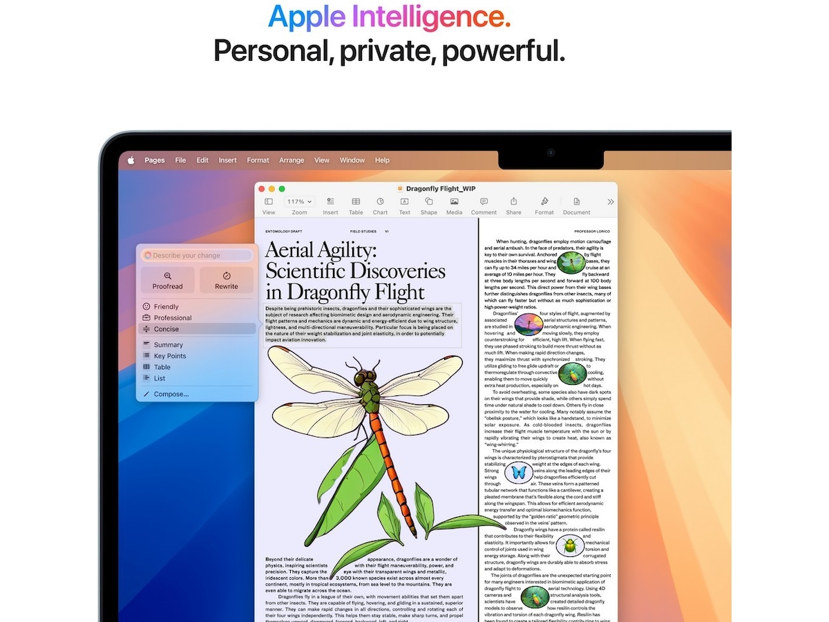 MacBook Air 13" M4 (2025) 512GB (himmelsblå) Datorer - Bärbara / laptop