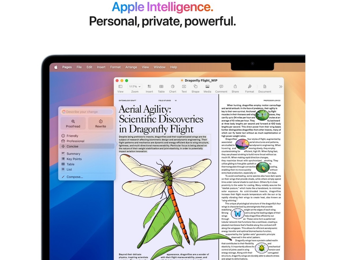 MacBook Air 15" M4 (2025) 512GB (himmelsblå) Datorer - Bärbara / laptop