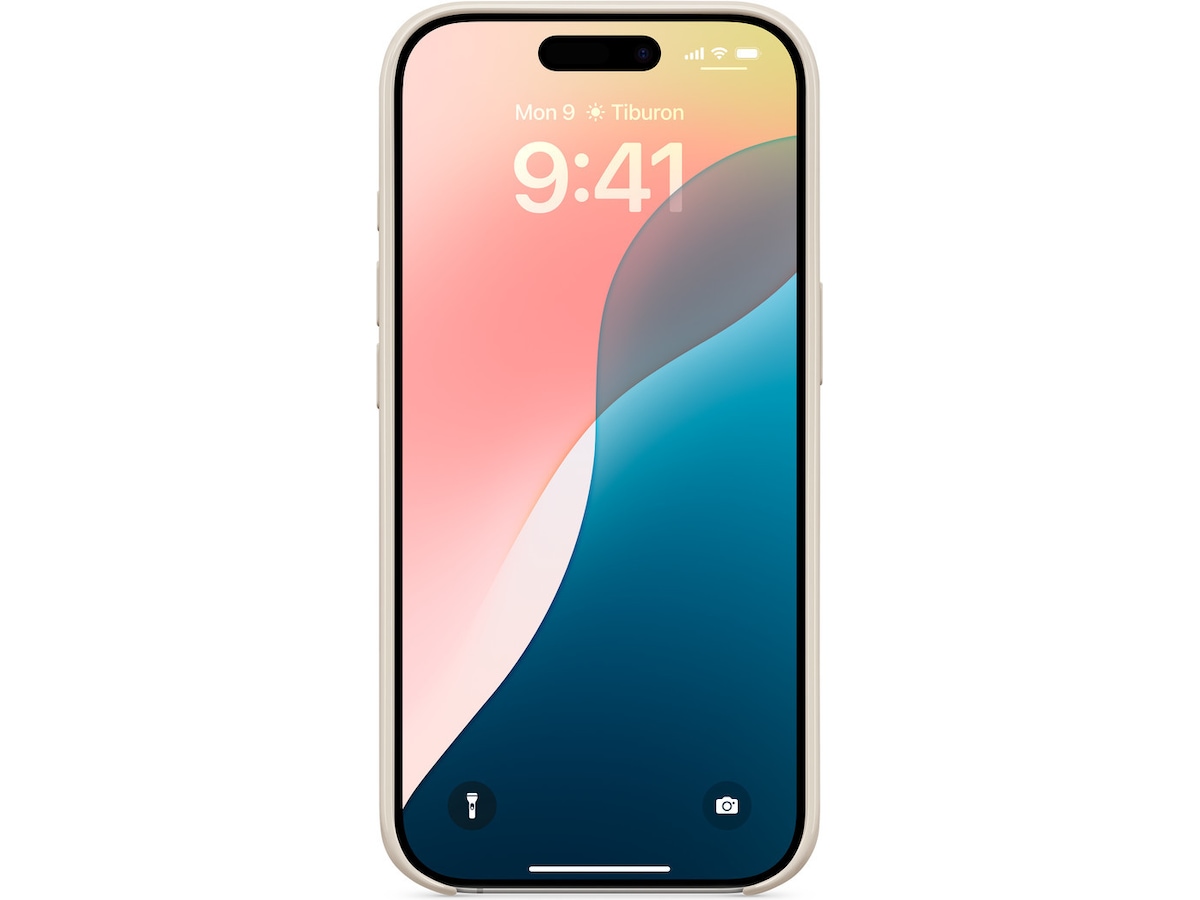 Apple iPhone 16 Pro Case Beats skal (summit stone) Skydd