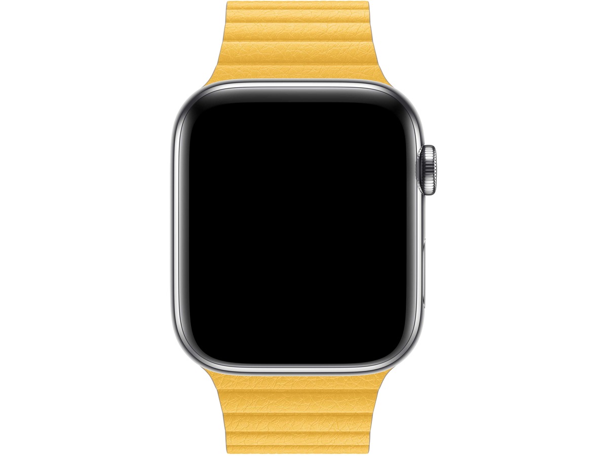 apple watch 44mm leather loop