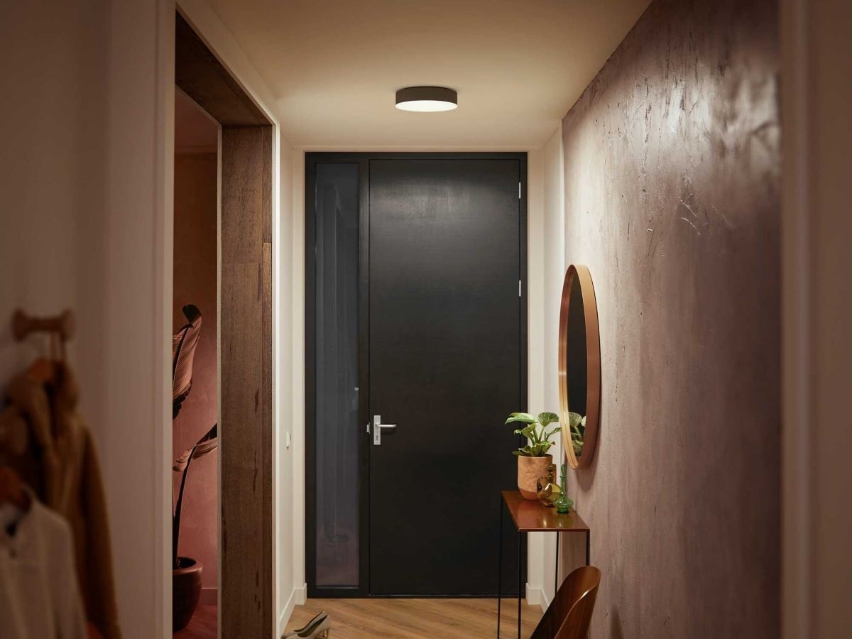 Philips Hue Enrave small taklampa (svart) Taklampa