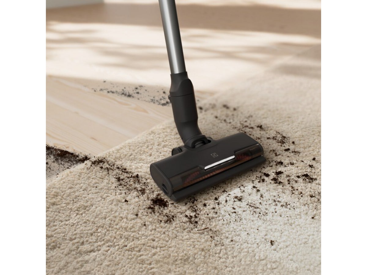 Electrolux Animal 700 sladdlös dammsugare (grå) Skaftdammsugare