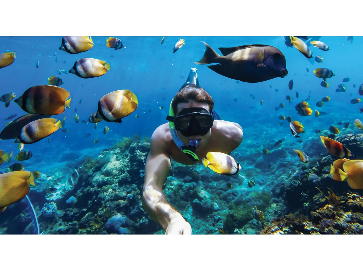 GoPro HERO11 Black Mini Protective Dive Housing Tillbehörssatser till kameror