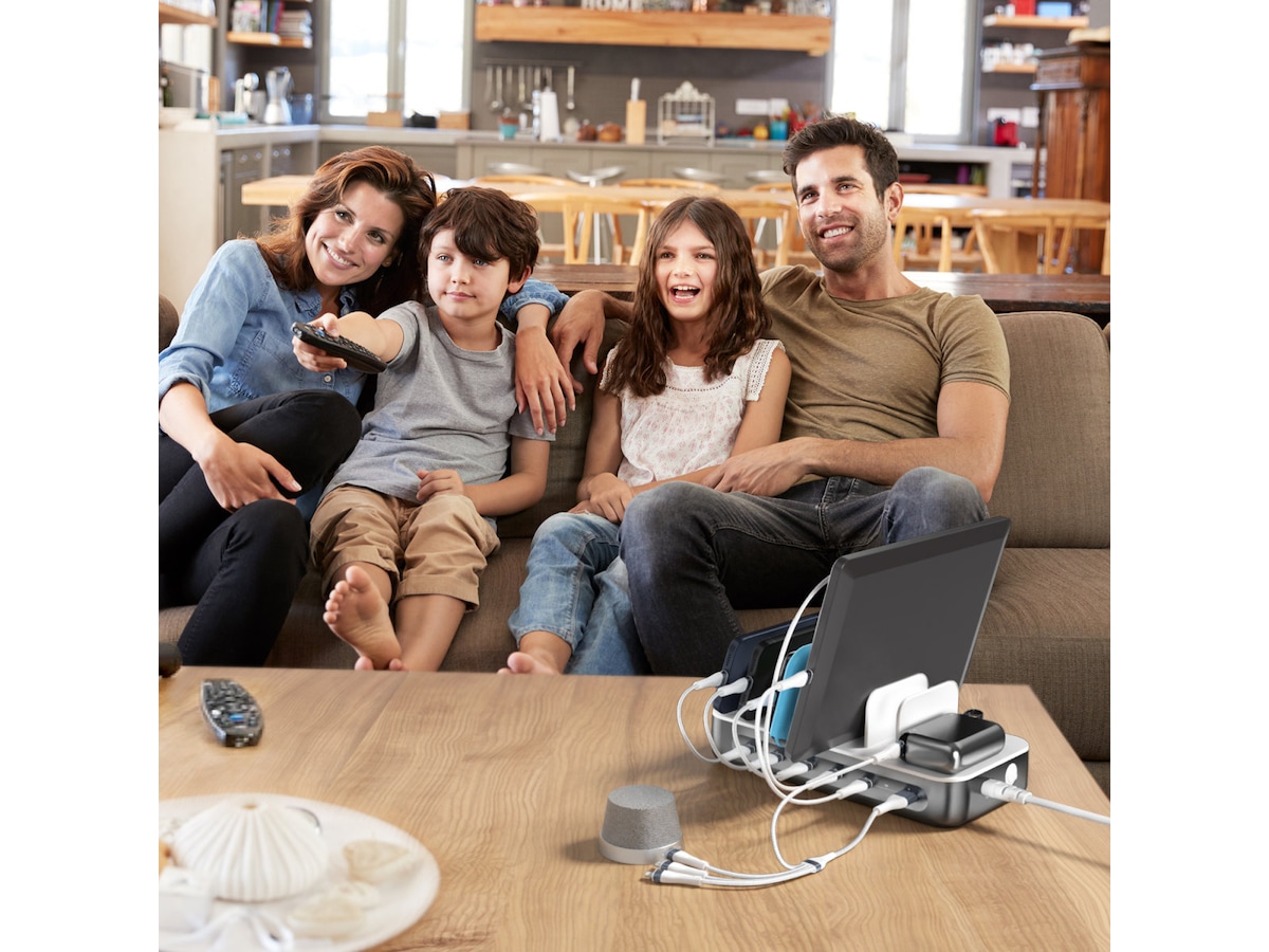 4smarts Team 100W Laddningsstation (rymdgrå) Laddstation