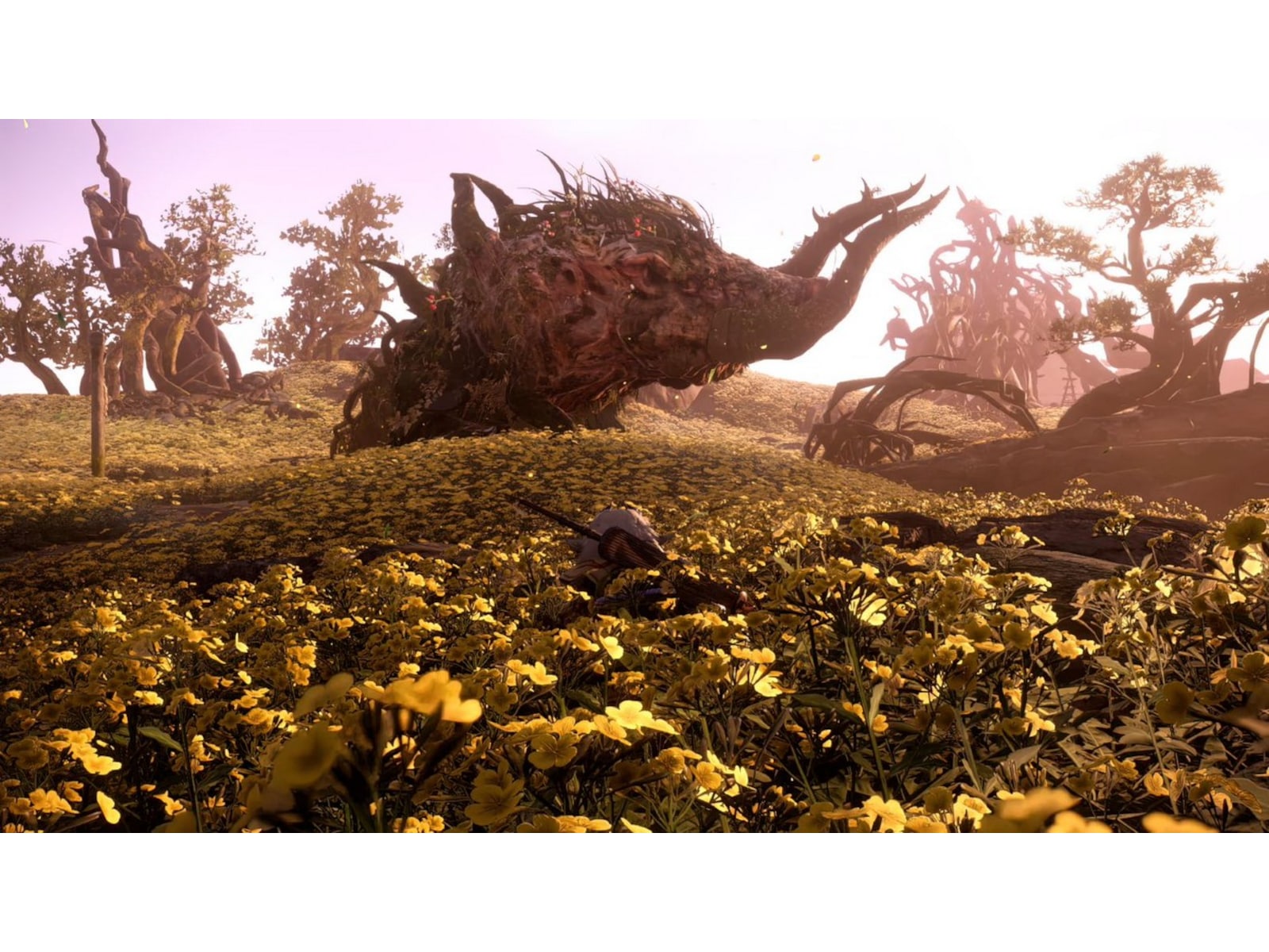 Wild Hearts Spel till Xbox Series X/S