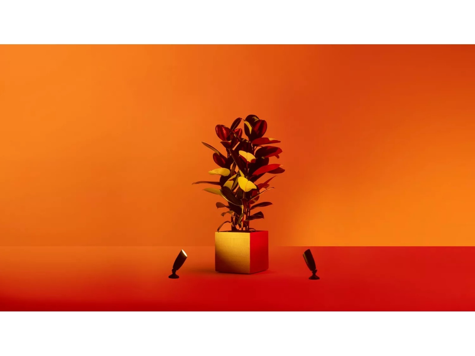 WiZ Utomhus 12V Markspot Startpaket Golvlampa