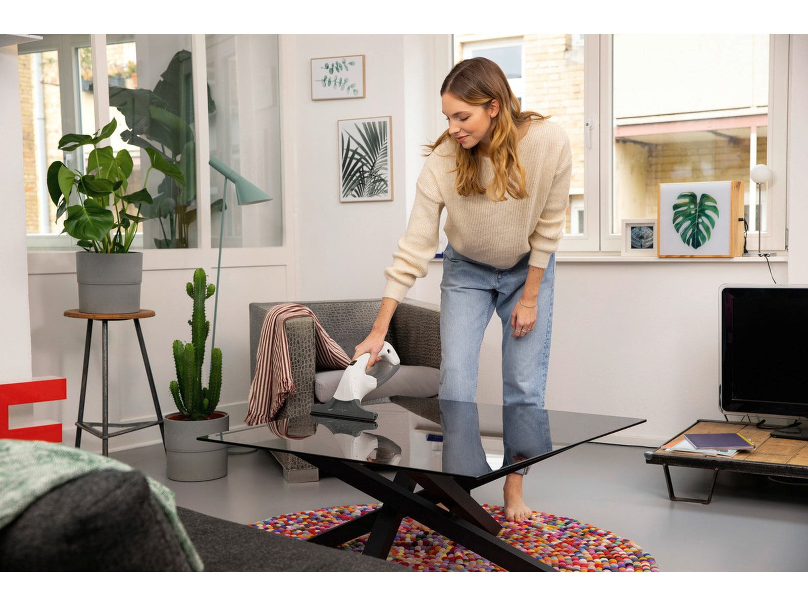 Kärcher WV 1 Plus Fönsterputs Fönstertvättar