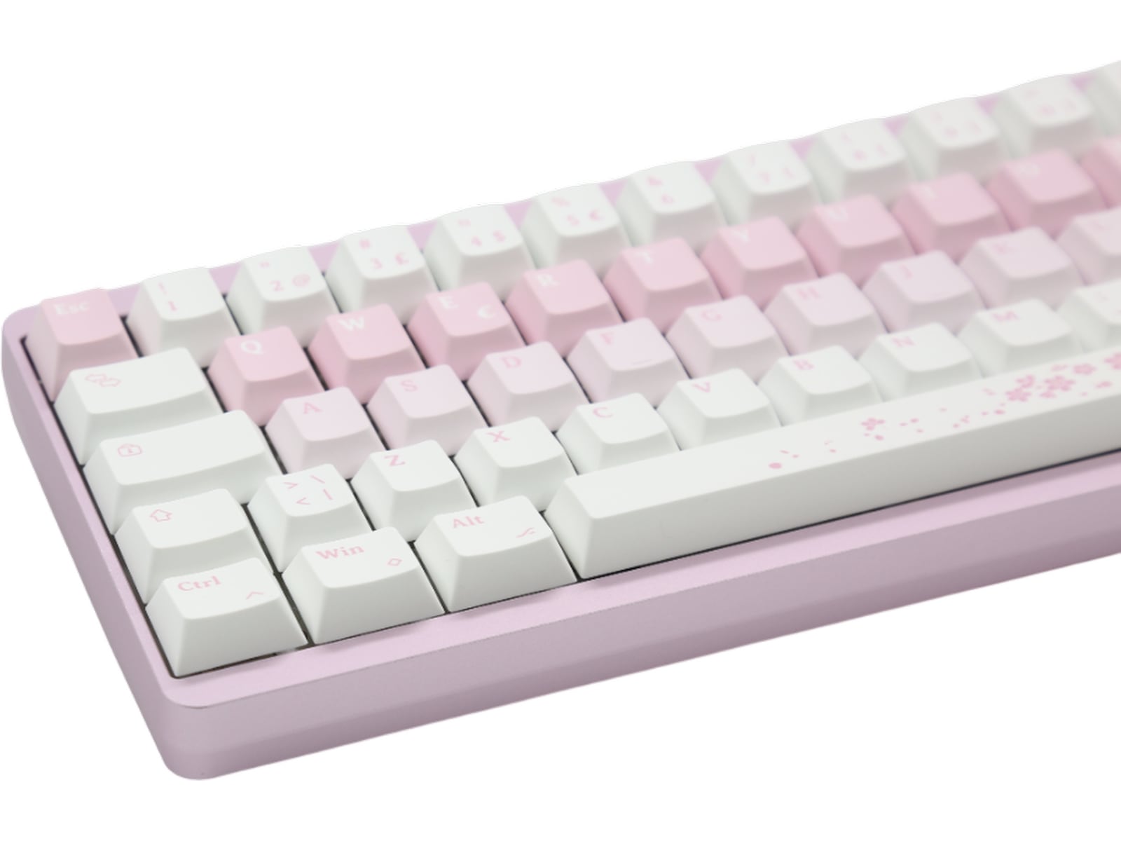 Varmilo Muse65 HE Sakura 65% Gamingtangentbord Gamingtangentbord