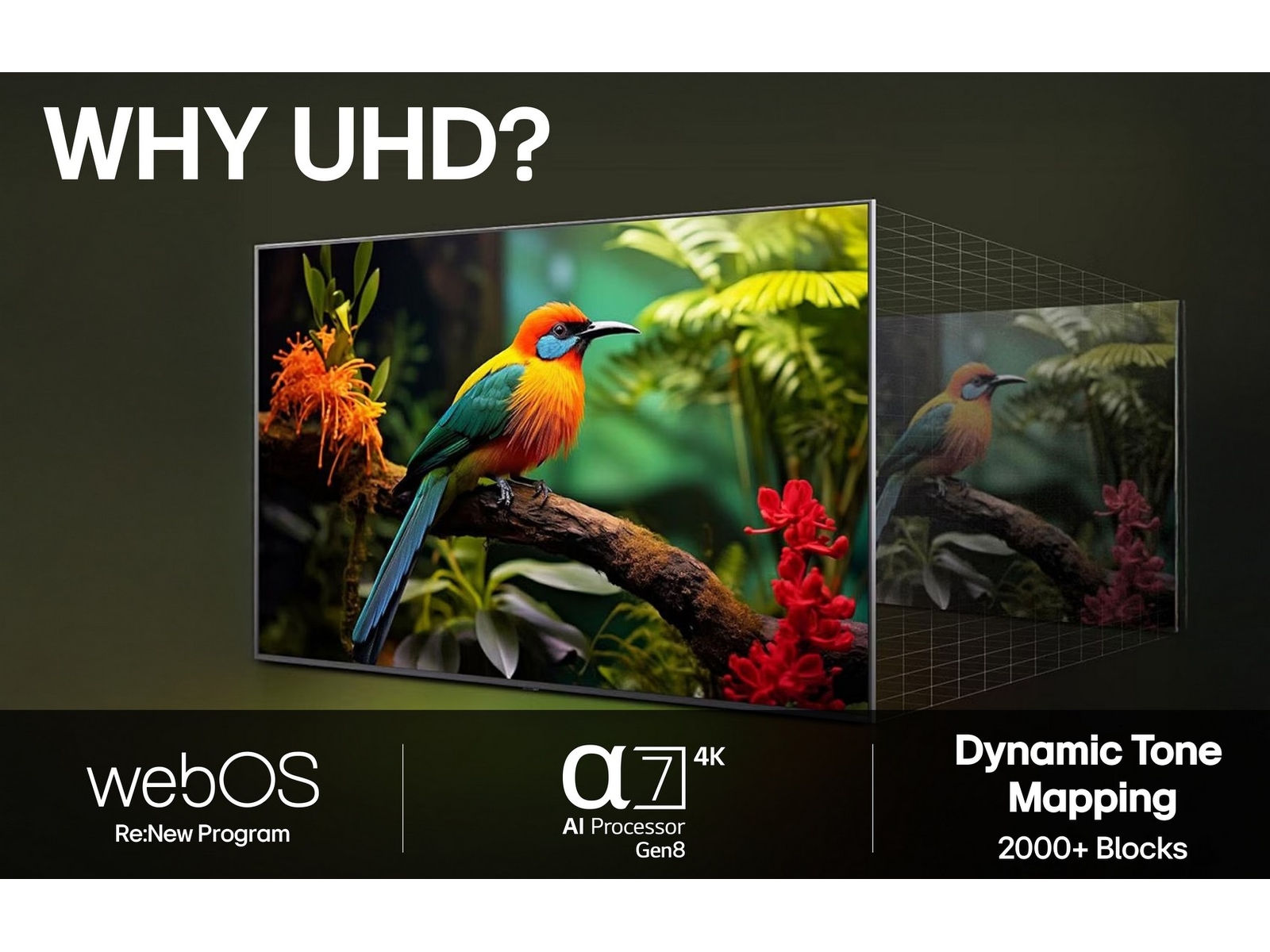 LG 55" UA73 AI 4K UHD Smart TV (2025) 50 - 59 tums TV