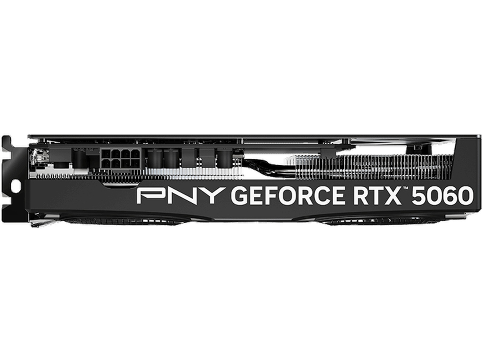 PNY GeForce RTX 5060 OC Dual Fan Grafikkort