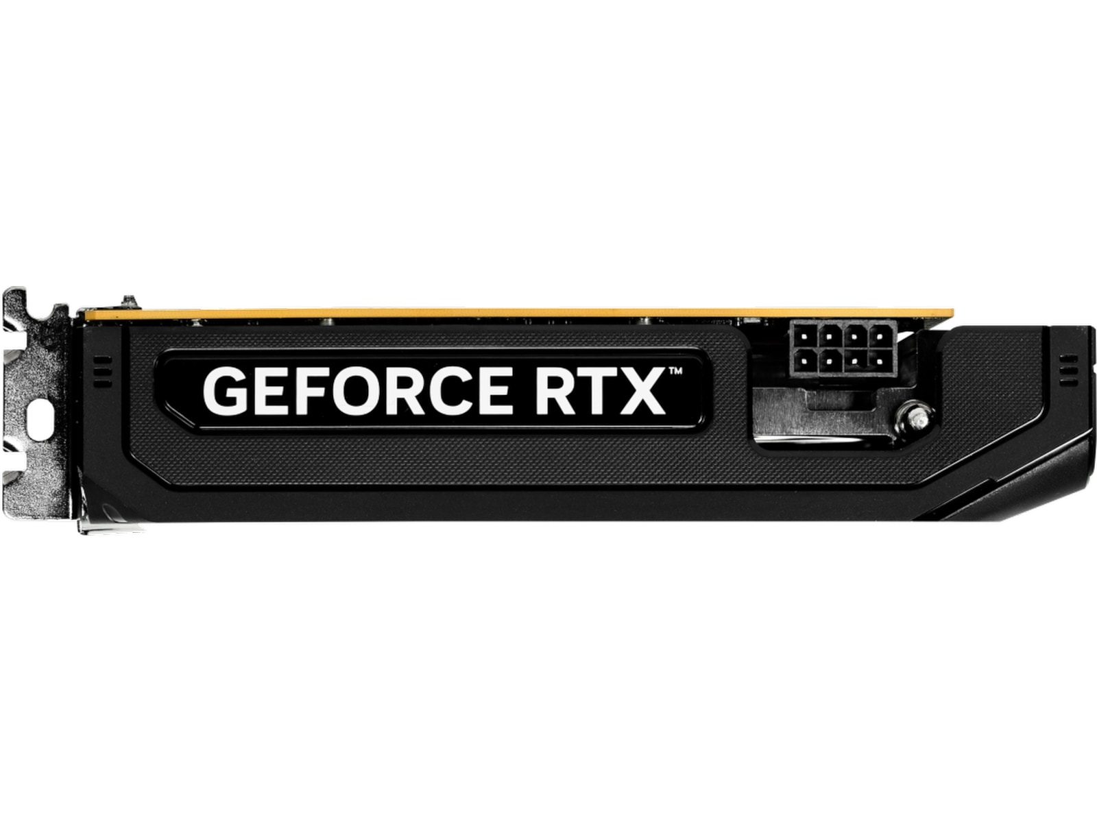 Gainward GeForce RTX 5050 Pegasus Grafikkort