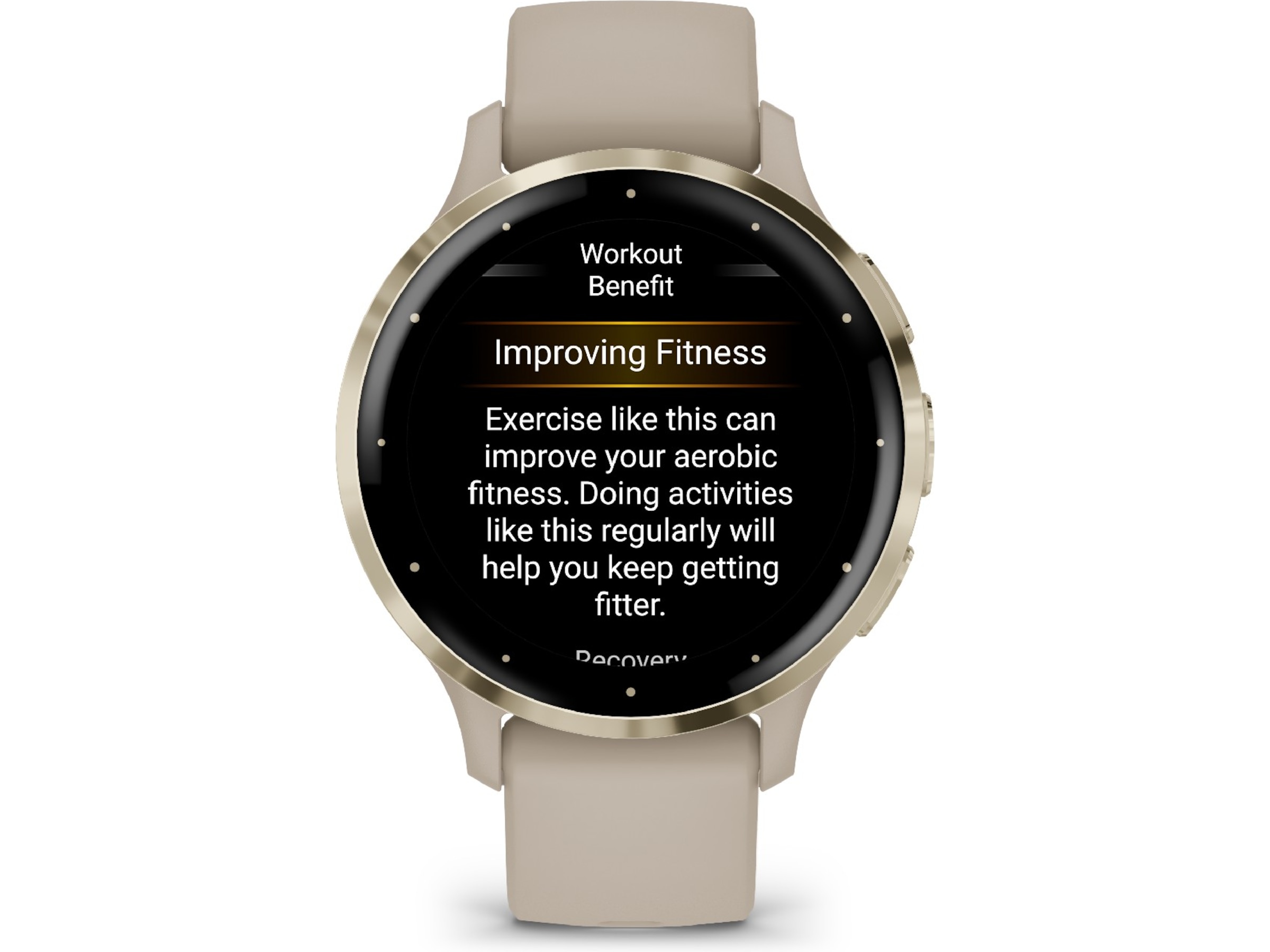 Garmin Venu 3S 41mm GPS (french gray/soft gold) Smartwatches