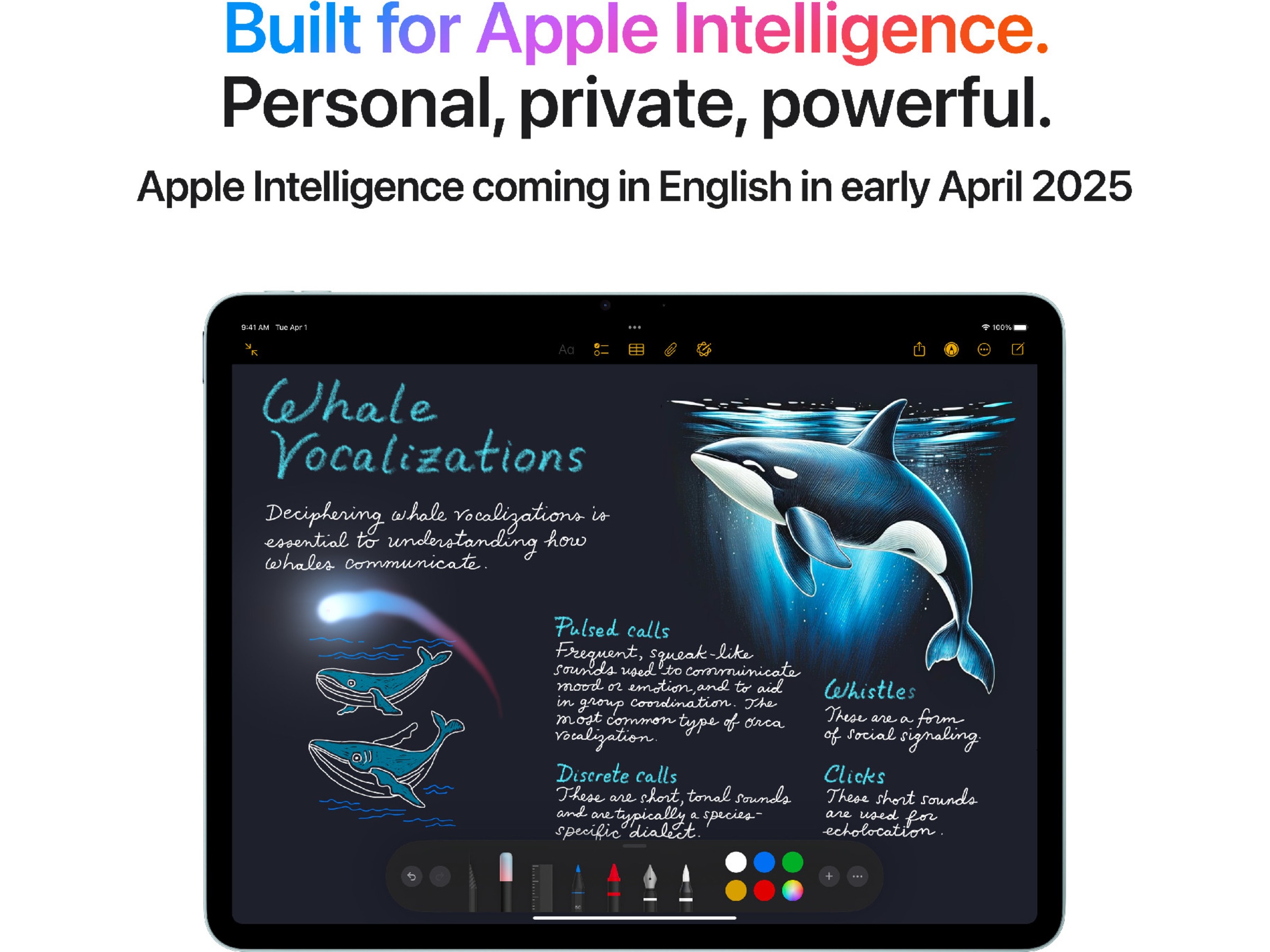 iPad Air 11" (2025) 512GB 5G (blå) Surfplattor