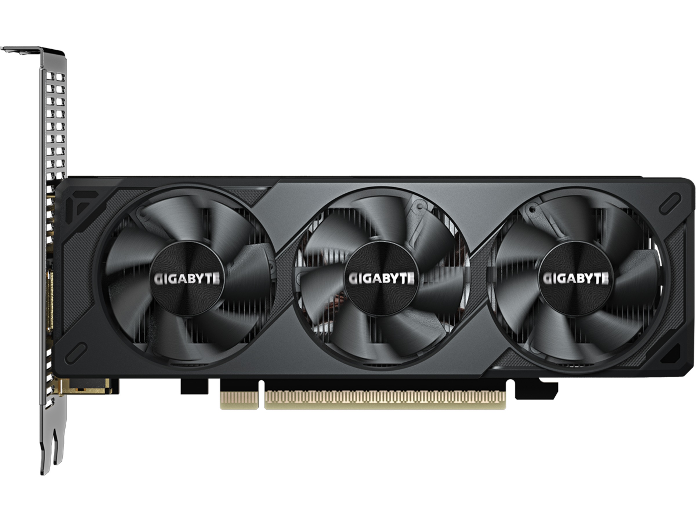 Gigabyte GeForce RTX 5050 OC Low Profile Grafikkort