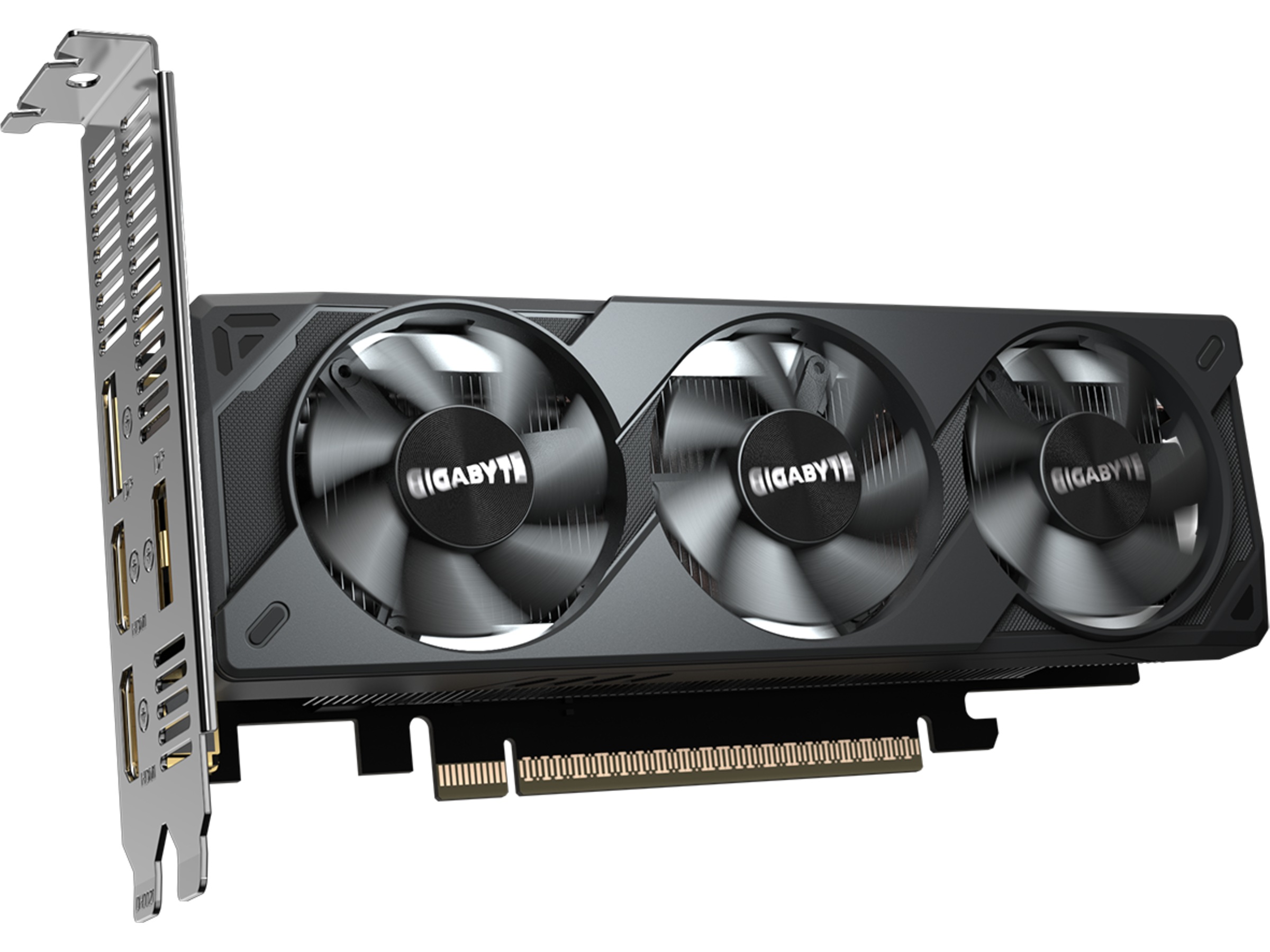 Gigabyte GeForce RTX 5050 OC Low Profile Grafikkort