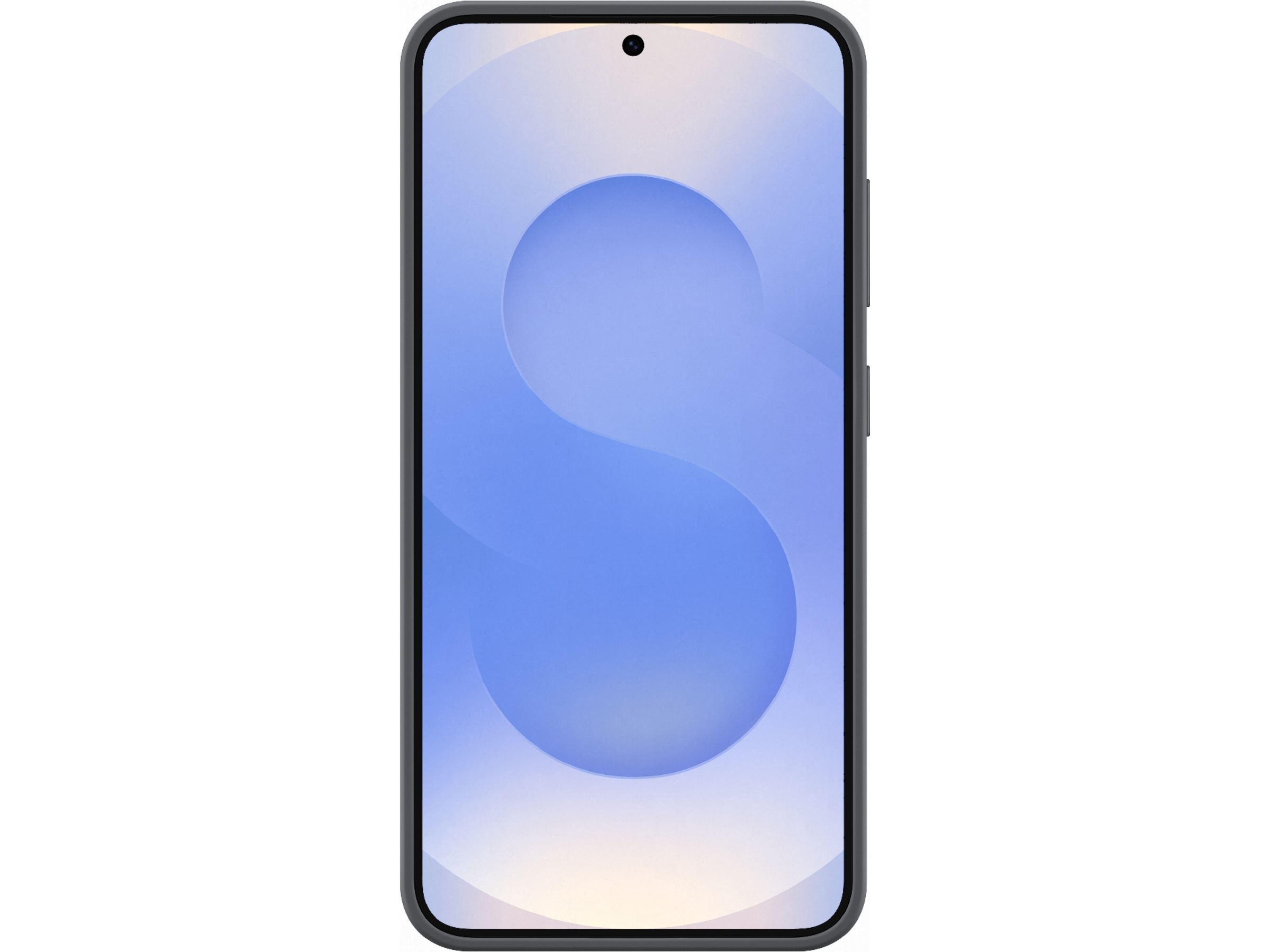 Samsung Galaxy S25 Silikonskal (svart) Skydd