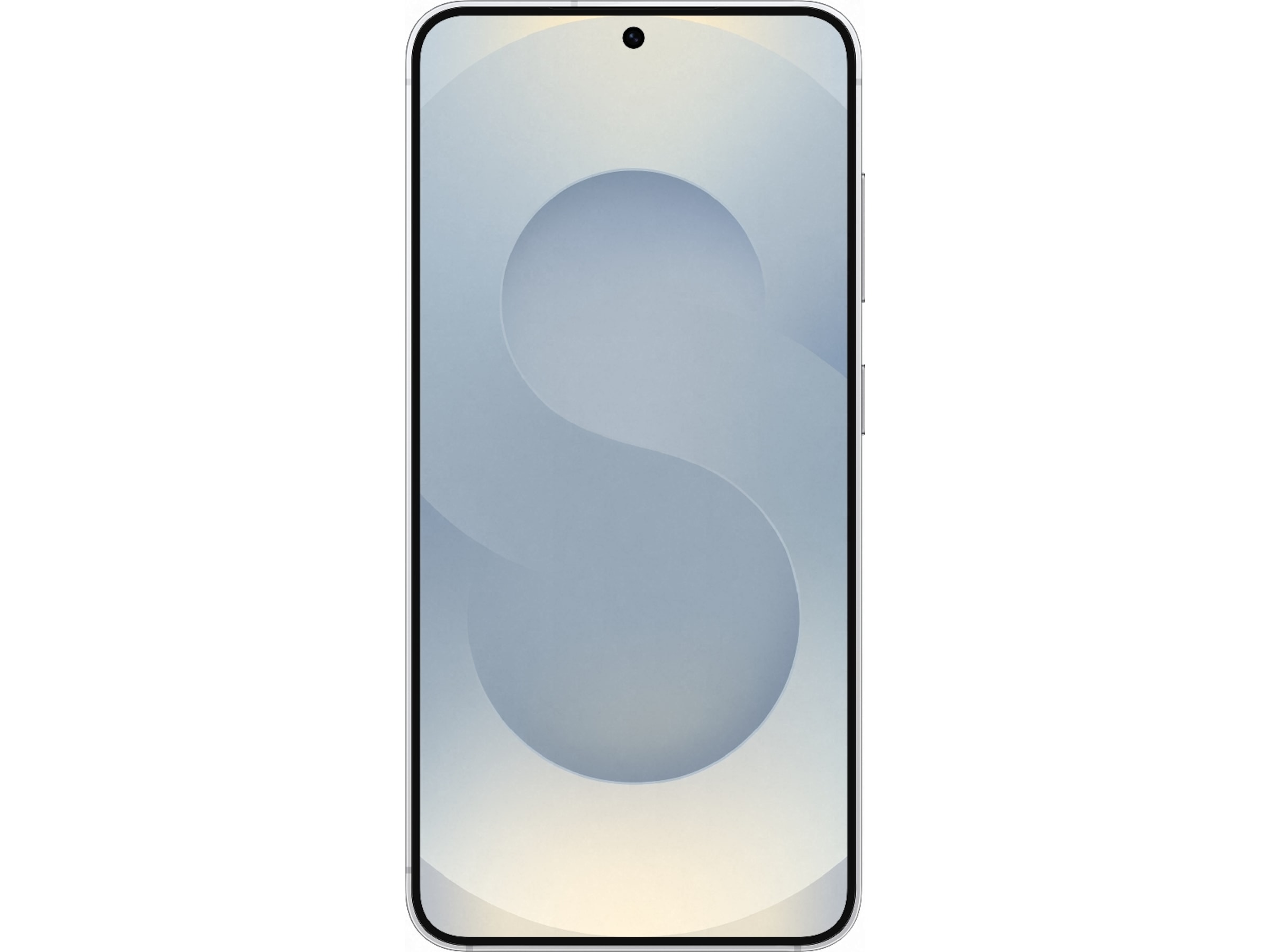 Samsung Galaxy S25 256GB (silver shadow) Mobiltelefoner