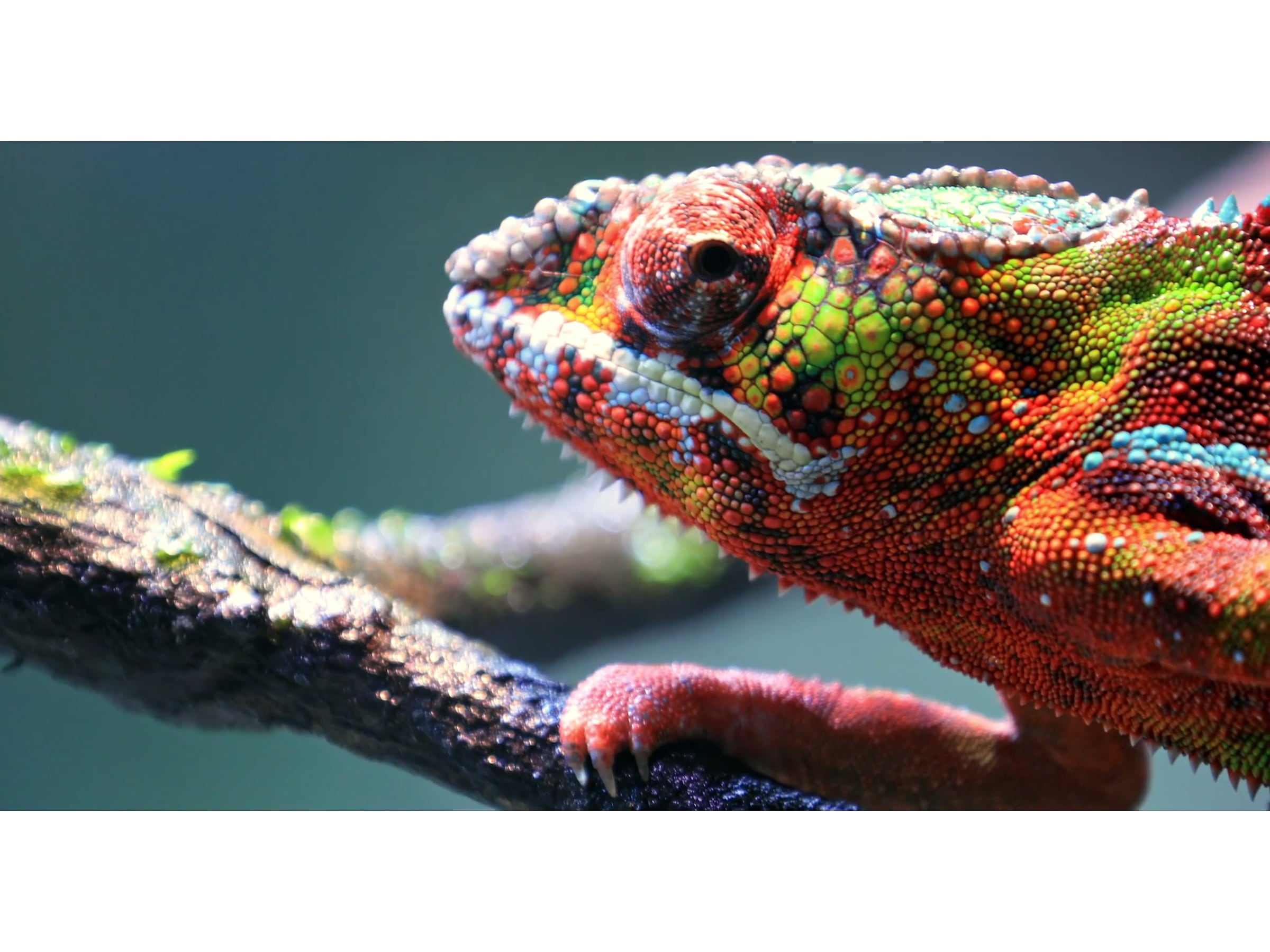 Bildkalibrering - folder TV-ram & tillbehör