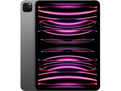 iPad Pro 11" (2022)  1TB WiFi (rymdgrå)