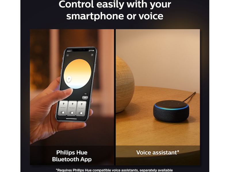 Philips Hue Enrave small taklampa (svart) Taklampa