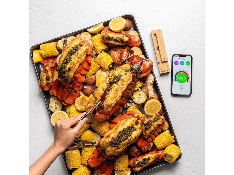 MEATER Plus Smart Thermometer Övriga köksapparater