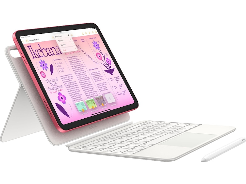 iPad (2022) 64GB WiFi (silver) Surfplattor