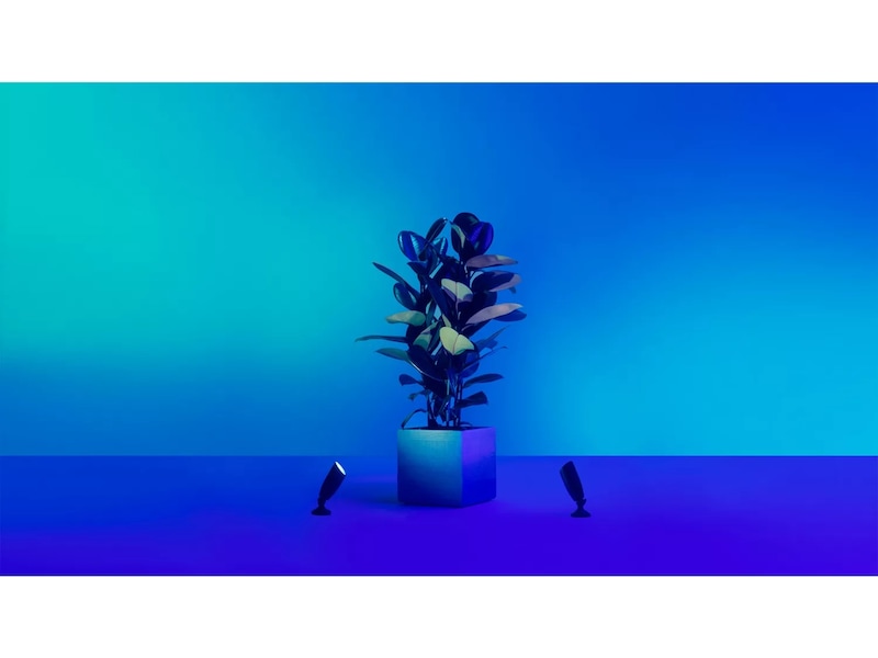 WiZ Utomhus 12V Markspot Startpaket Golvlampa