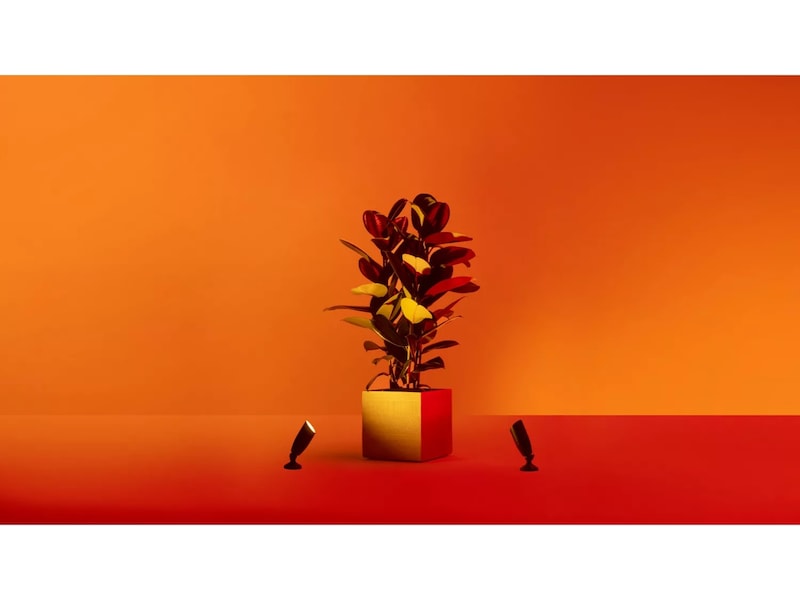 WiZ Utomhus 12V Markspot Startpaket Golvlampa