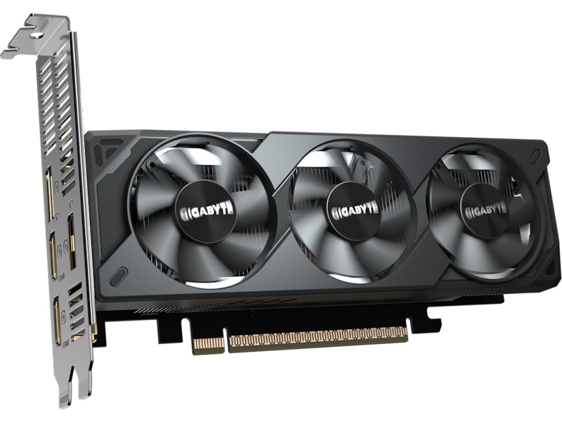 Gigabyte GeForce RTX 5050 OC Low Profile Grafikkort