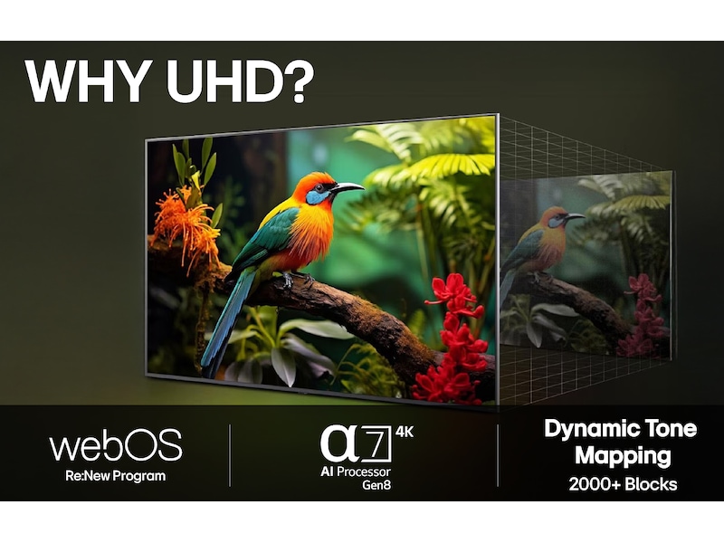 LG 75'' UA75 AI 4k Smart TV (2025) 70 - 79 tums TV