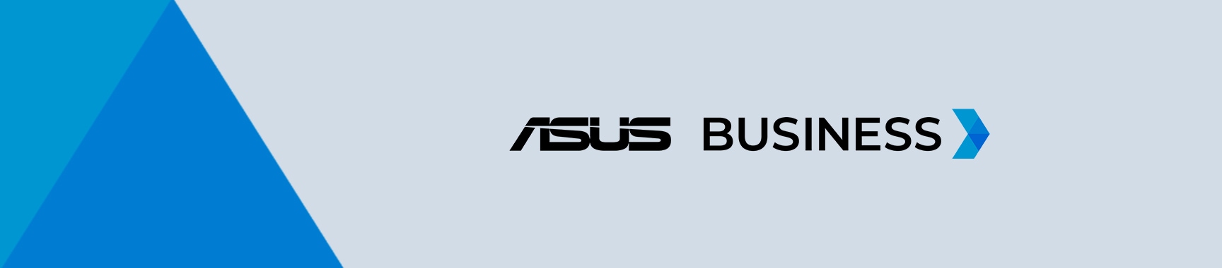 ASUS för företag