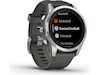 Garmin fenix 7S Pro Solar 42mm GPS (silver/graphite) Smartwatches