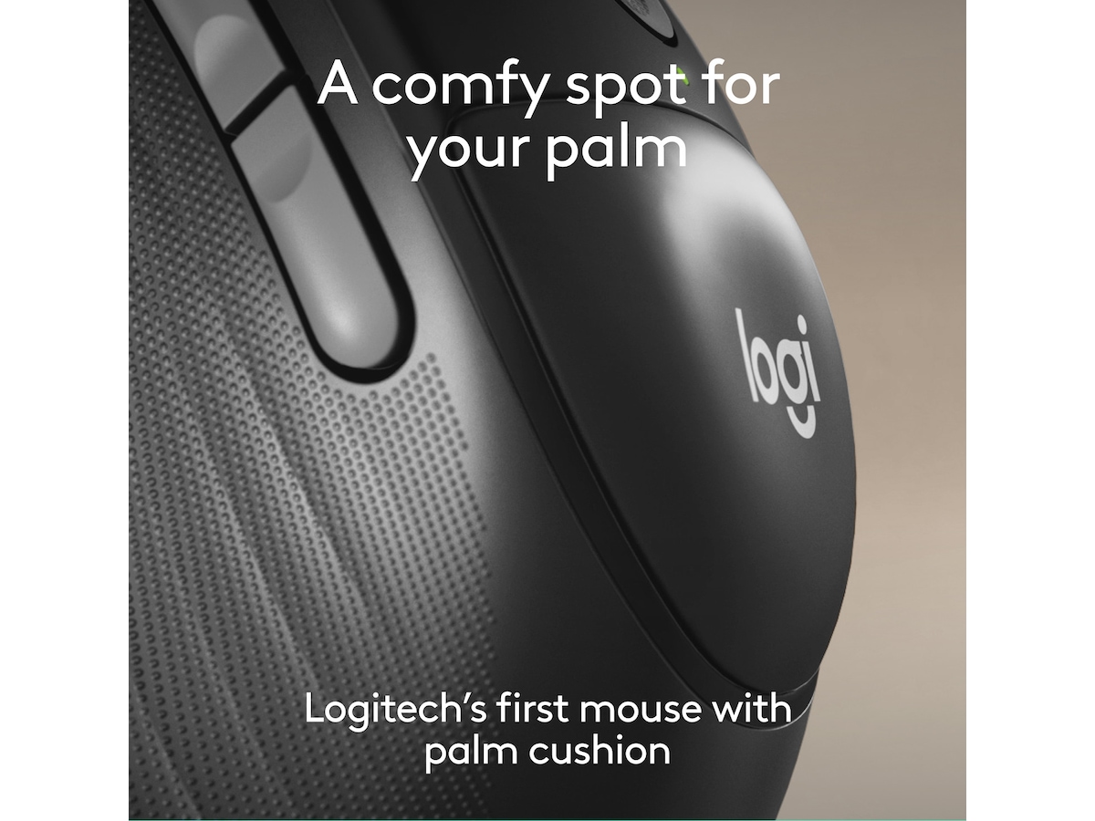 Logitech Signature Comfort M850 L trådlös mus Mus