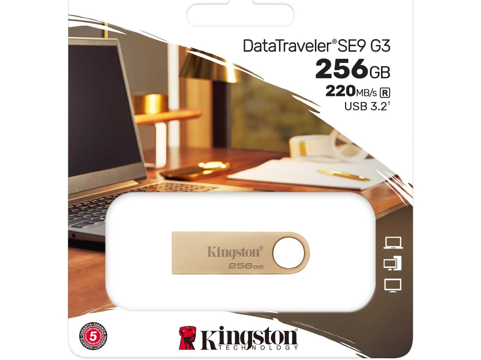 Kingston DataTraveler DTSE9 256GB USB-minnen