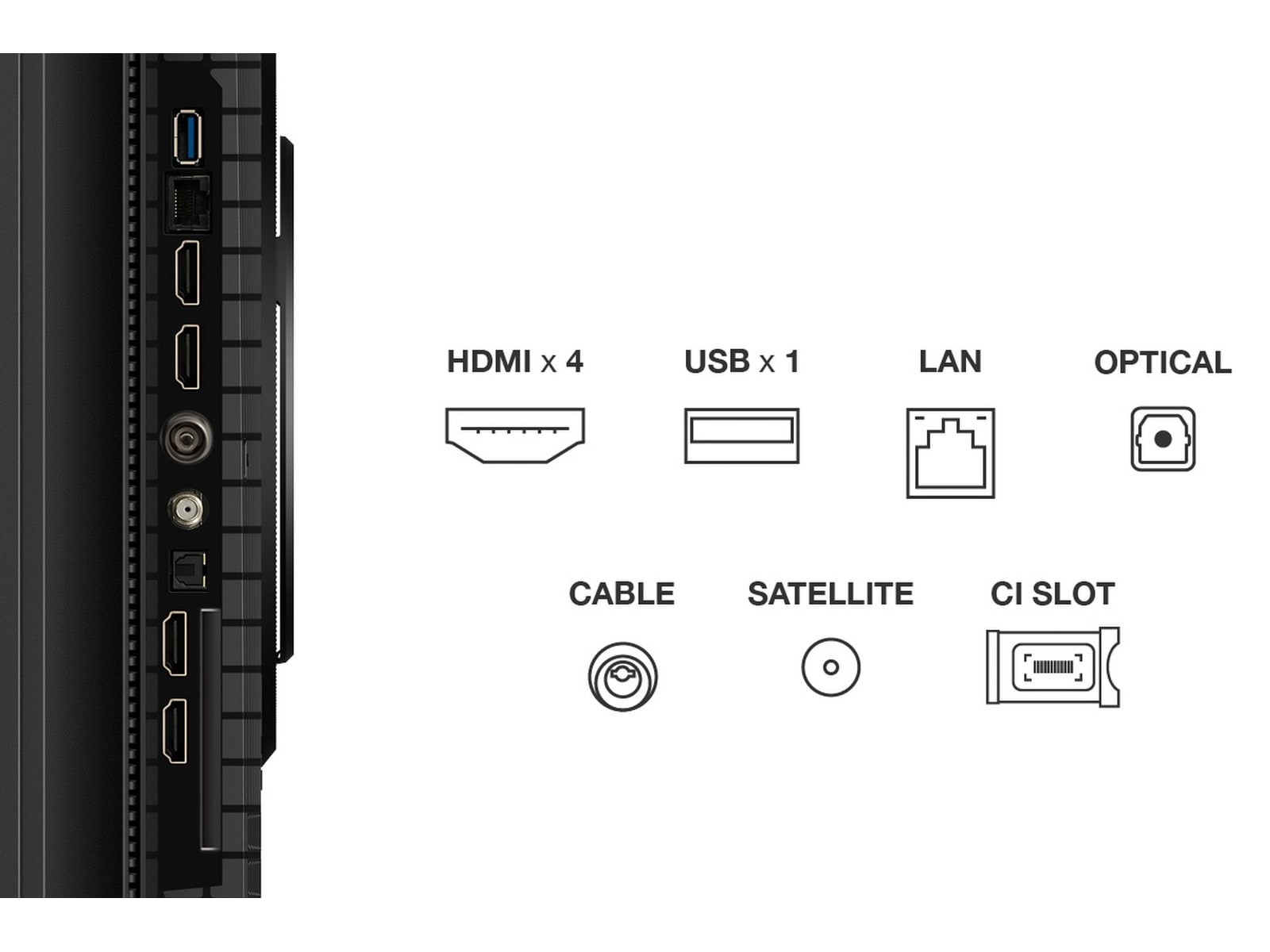 TCL 75" T8C 4K QLED Google TV (2025) 70 - 79 tums TV