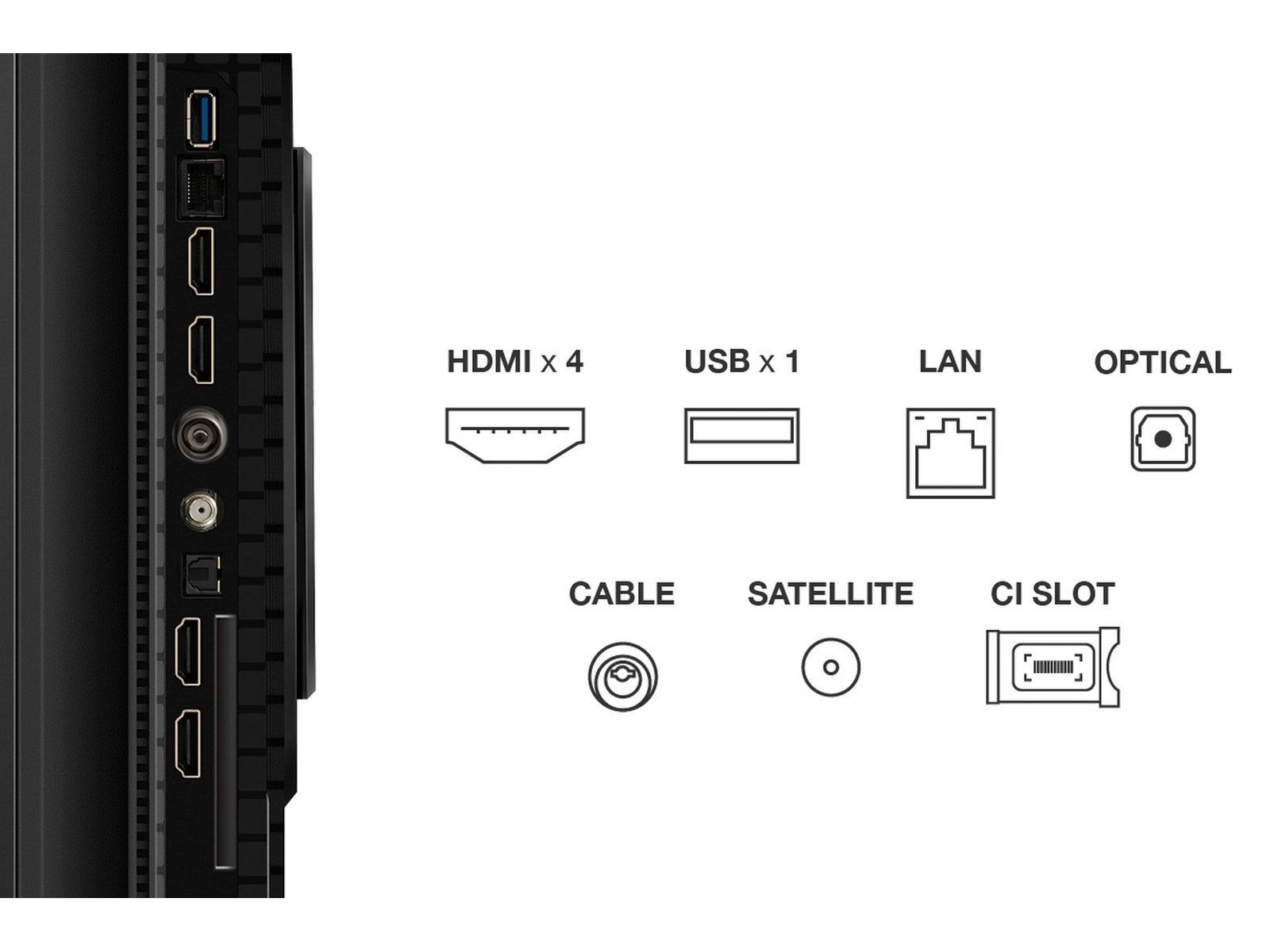 TCL 65" T8C 4K QLED Google TV (2025) 60 - 69 tums TV
