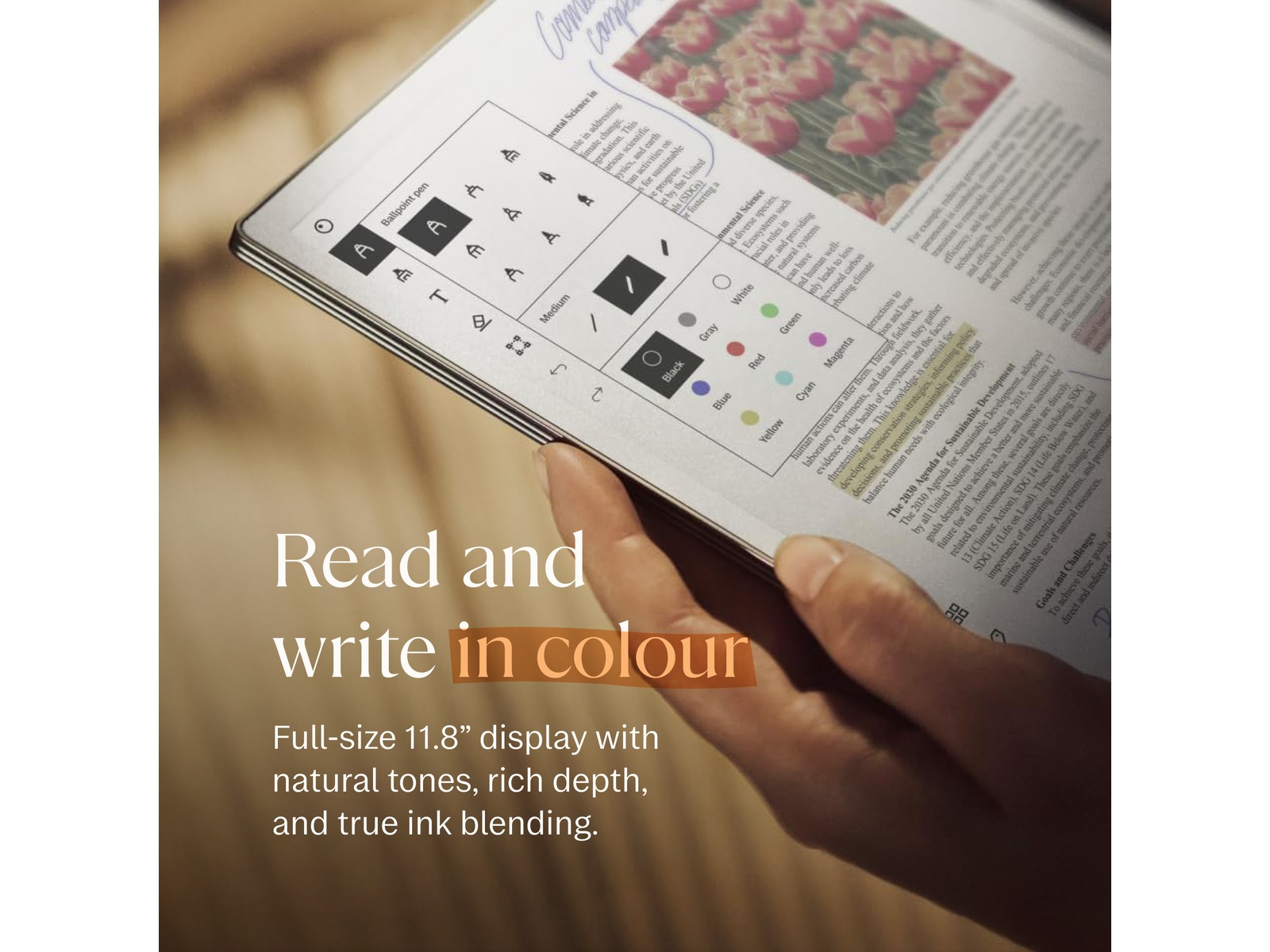 reMarkable Paper Pro 11,8" 64GB inkl. Marker Plus och Book Folio (basalt) Digitala anteckningsblock