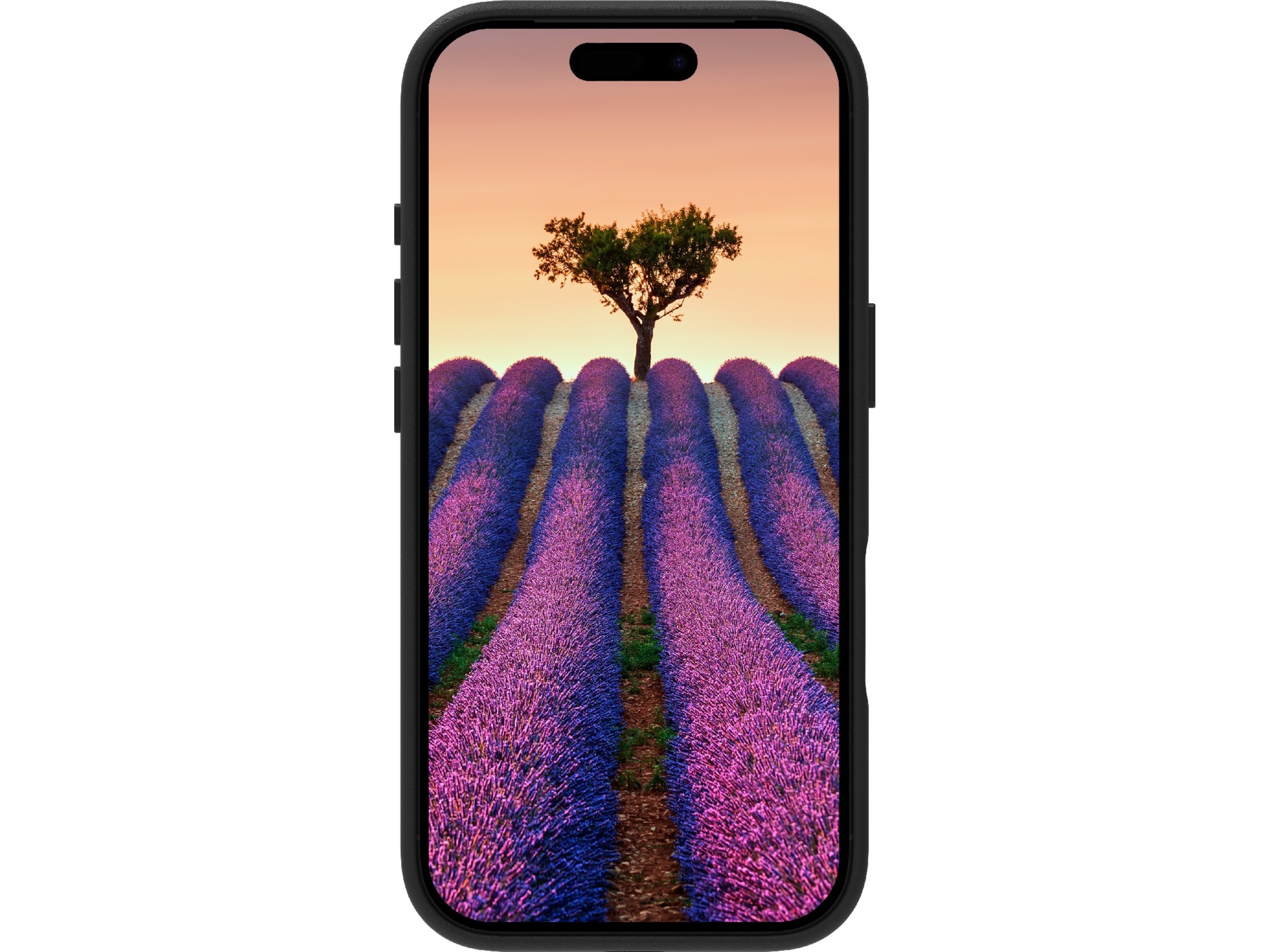 dbramante1928 iPhone 17 Pro Roskilde läderskal (svart) Skydd