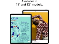 iPad Air 13" (2025) 128GB 5G (rymdgrå) Surfplattor