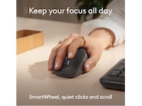 Logitech Signature Comfort M850 L trådlös mus Mus