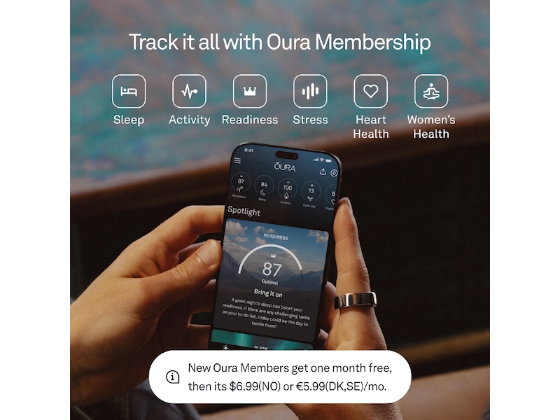 Oura Ring 4 Smart Ring str. 4 (borstad silver) Smart ring