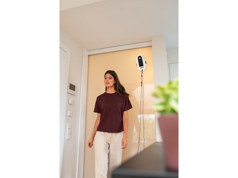 Kärcher RCW 2 Fönstertvättar