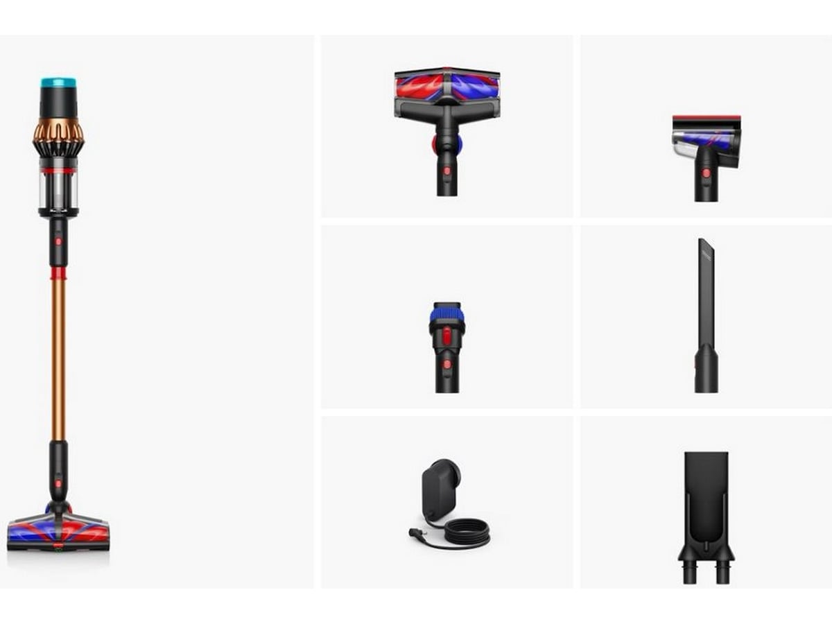 Dyson Piston Animal DS60 Skaftdammsugare