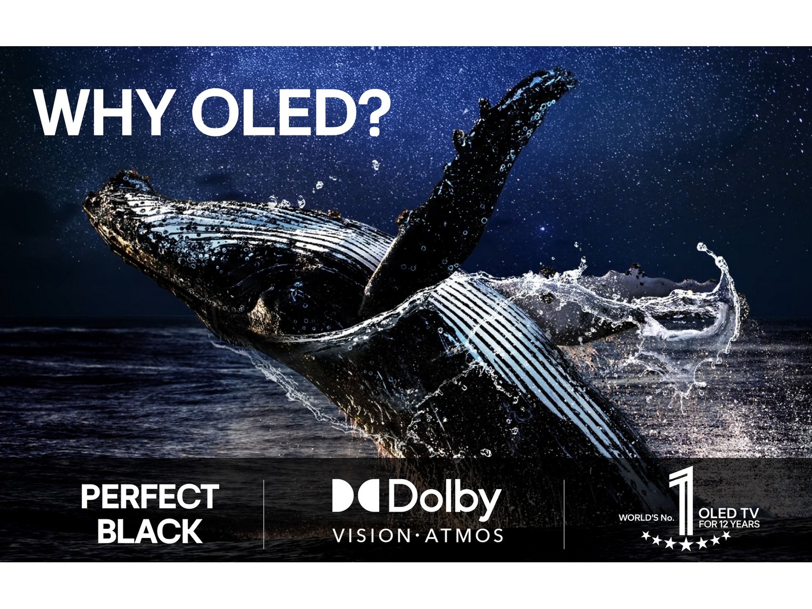 LG 65" C5 AI 4K OLED Smart TV (2025) 60 - 69 tums TV