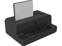 Icy Box IB-2914MSCL-C31 Type-C Dock Dockningsstationer